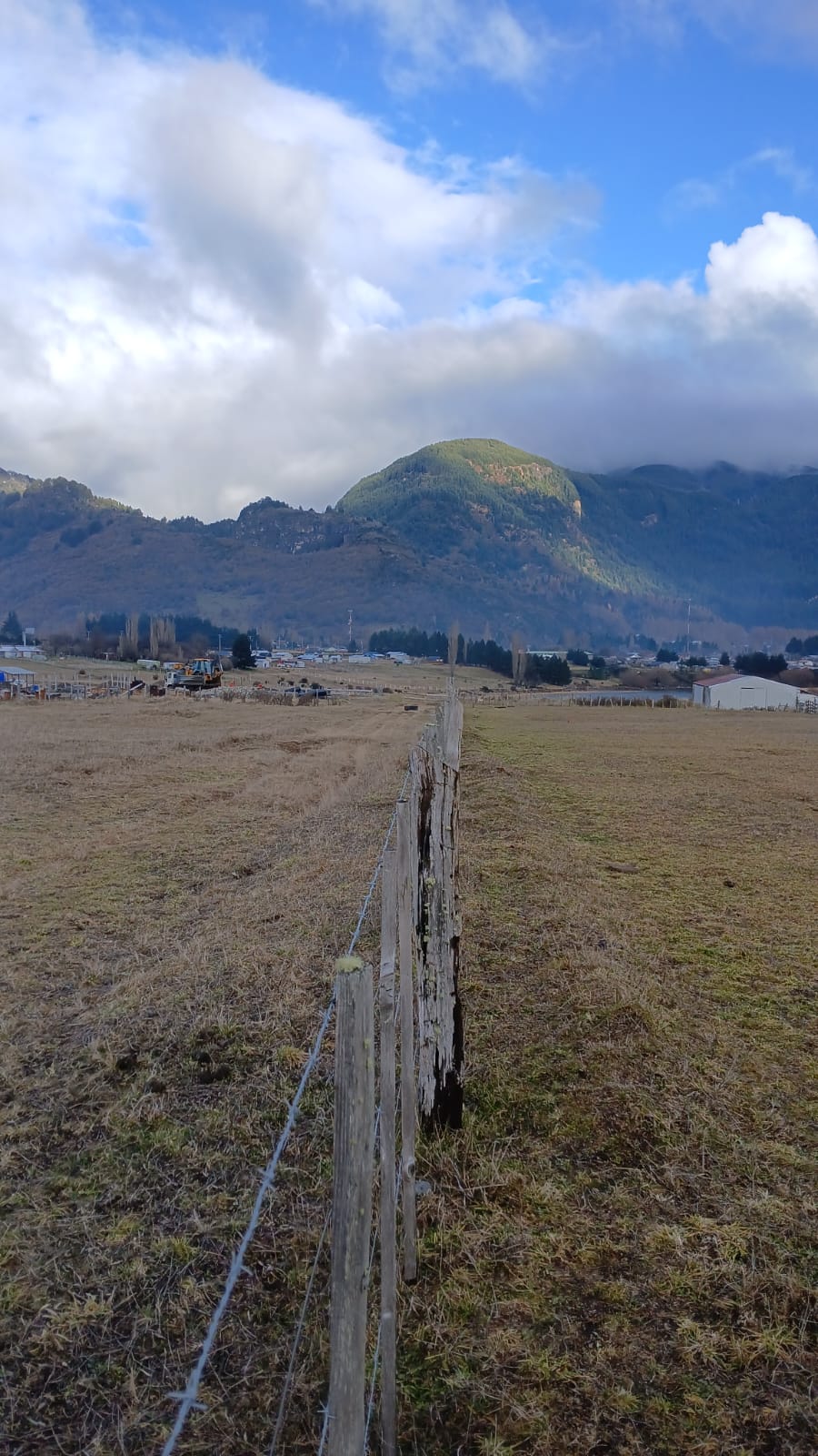 Mañihuales parcela 5000 m² - Laguna Esponja - Imagen 10