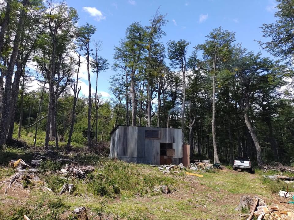 El Richard - 10 ha - Imagen 10