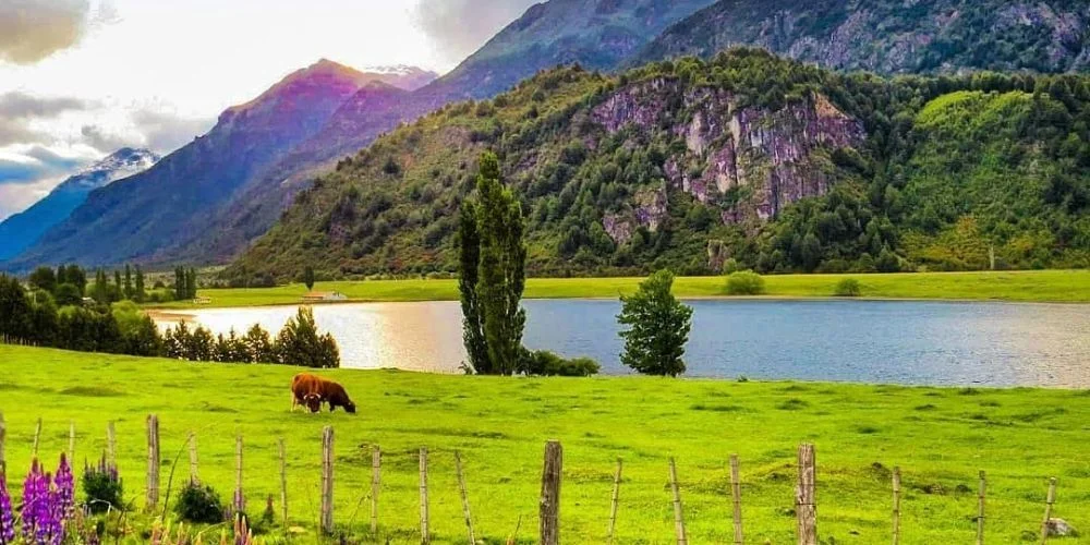 Mañihuales parcela 5000 m² - Laguna Esponja - Imagen 2